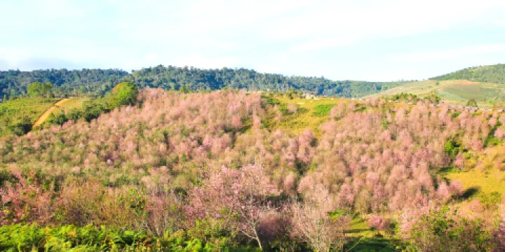 沈家山森林公園