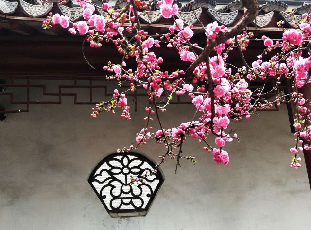 宣化人民公园旅行图片 3