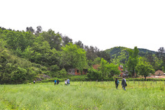 新县游记图片] 2天1晚新县行：走进大别山，探访古老村落