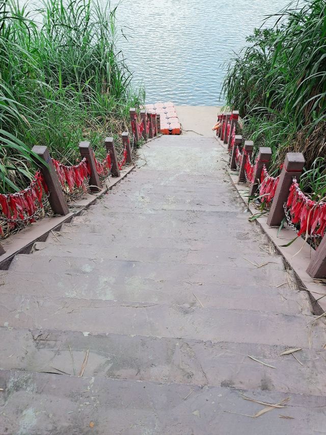 左江斜塔旅行图片 6