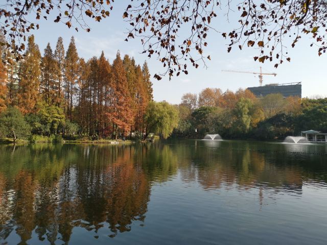 天山公园旅行图片 1