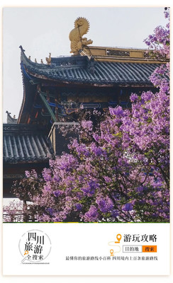 成都周边“小云南”！这座城市美到犯规，有山有海，还有满城蓝花楹即将绽放，疫情结束后就去吧！