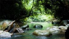 派阳山森林公园-宁明-C-IMAGE