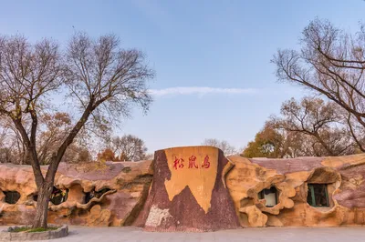 太阳岛风景区-松鼠岛