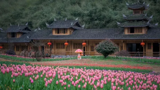 貴洞風景區