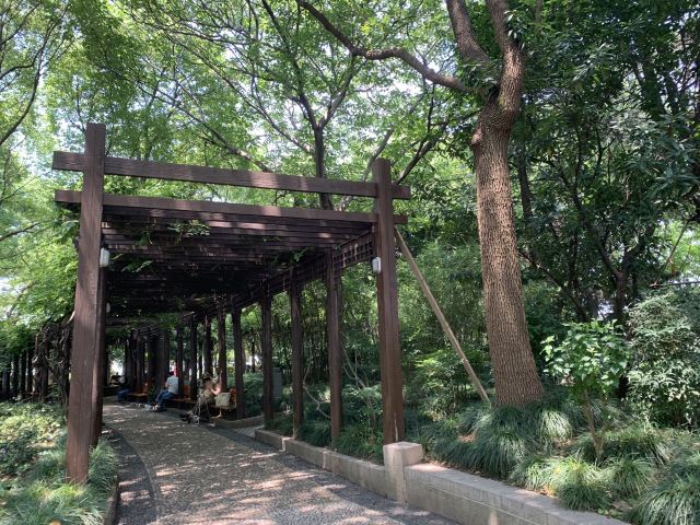 黄浦公园旅行图片 1