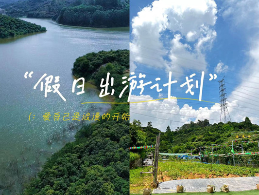 0元拍大片|废林真人吃鸡丛林野战cs|藏在青山里有机有机农场
