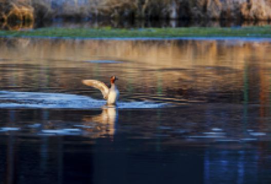 五大连池风景区景点图片