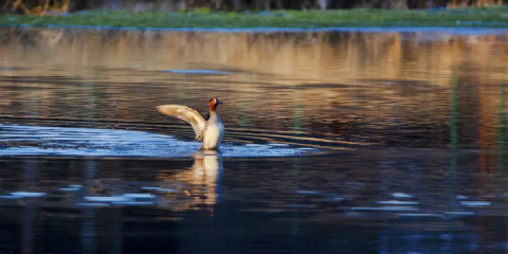 五大連池風景區