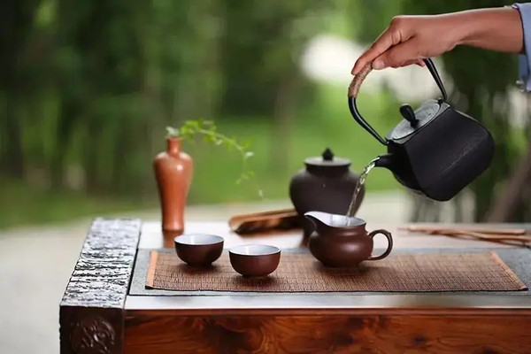 滇南景谷寻茶记，走进大白茶发源地