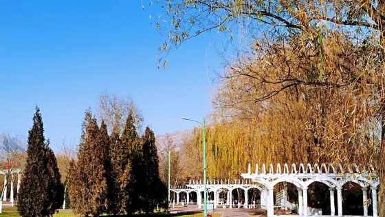 大武口森林公園