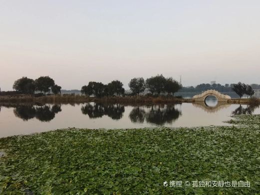 莱州河套湿地公园