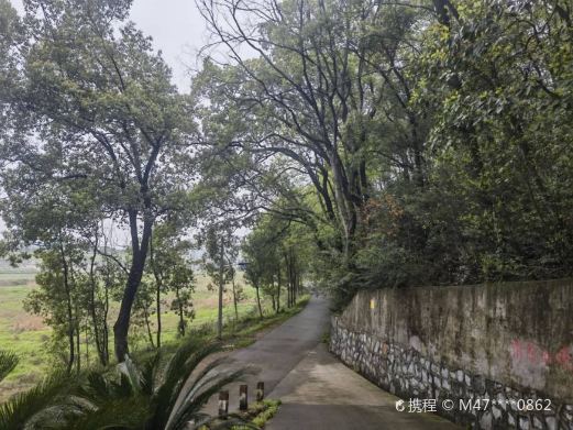 河洑国家森林公园