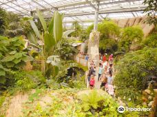 Biotropica, animal gardens-瓦德勒伊