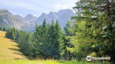 Parco Naturale Adamello Brenta-特伦托省