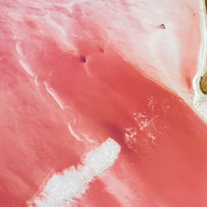 澳大利亚西澳大利亚7日6晚跟团游