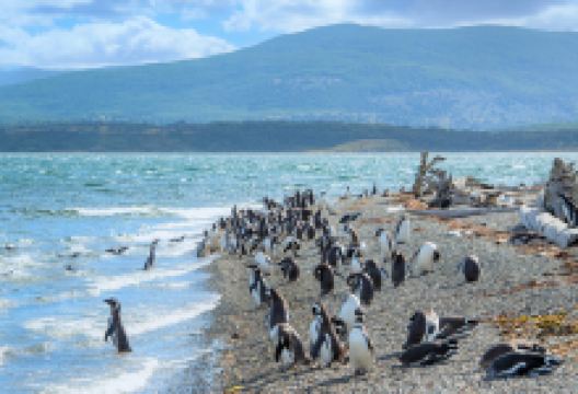 马格达莱纳岛景点图片