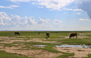 大兴安岭游记图文-带大家一起去看中国最北极＞漠河