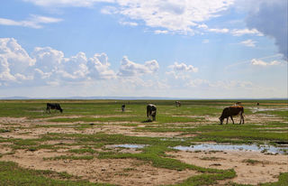 带大家一起去看中国最北极>漠河