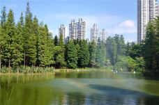 珠江公园-广州-113908820