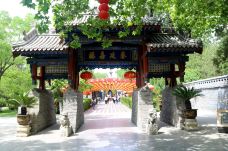 洪洞大槐树寻根祭祖园-洪洞-chenweiwen