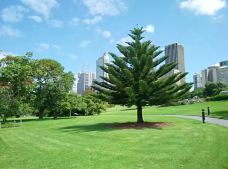 悉尼皇家植物园-悉尼