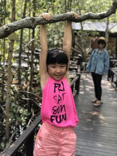 华欣海滩-华欣-钱龙