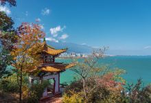洱海公园-团山景点图片