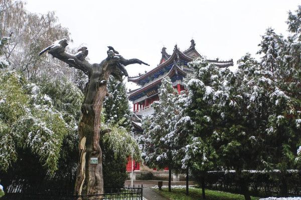 谁说冬日百花羞?宗圣宫邀您一起踏雪寻梅、赏花闻香