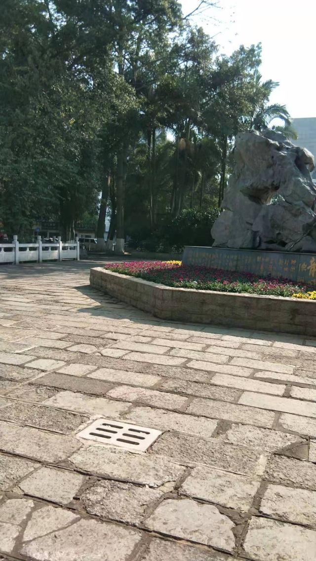 海滨公园旅行图片 1