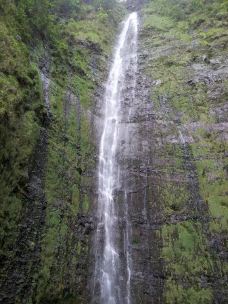 皮皮崴小径-茂宜县-YoYo_4D5J3P8H