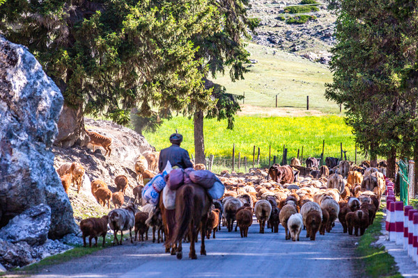 新疆神秘小镇，叫海不是海，比喀纳斯更惊艳，深山里藏着耀眼宝石