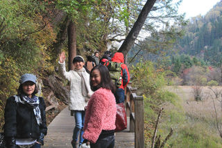 四川当地导游价格，四川本地导游费用，个人靠谱的导游收费，私人导游多少钱一天，网友旅游攻略分享