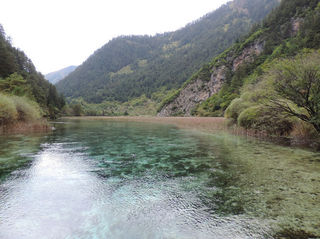 细细记录我的踏春九寨之旅