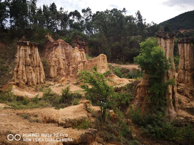 土林旅行图片 3