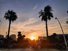 水上公园-石家庄-葱头杨61667