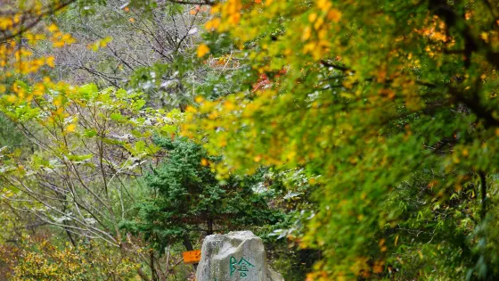陰平古道