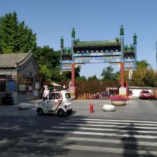 万寿公园-北京-show那年夏天