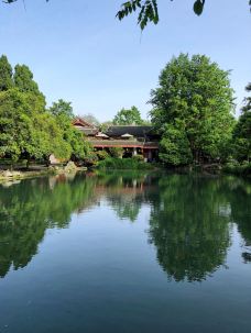 清溪园-都江堰-山茶叶蛋糕