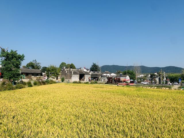 佘村明清代建筑群旅行图片 4