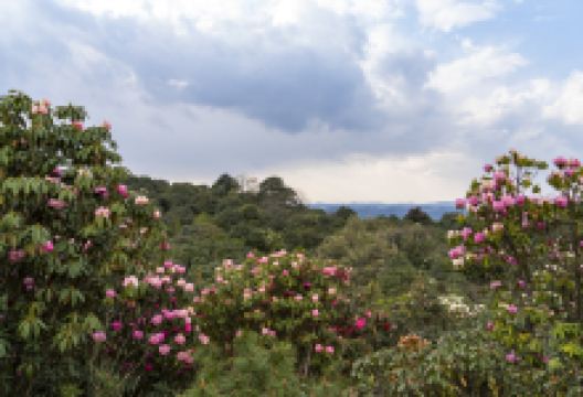 英武山景点图片