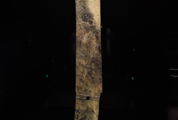 三星堆博物馆+成都大熊猫繁育研究基地一日游【包车纯玩无购物】【[私家独立团]「全程独立专车」一单一团 |可预约出发时间|根据人数匹配不同商务车型|贴心管家服务；】