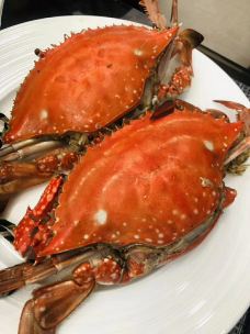 Melis Seafood-韦斯特佩勒-健康美丽的芳芳