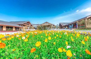 双流区游记图文-黄龙溪欢乐田园一日游