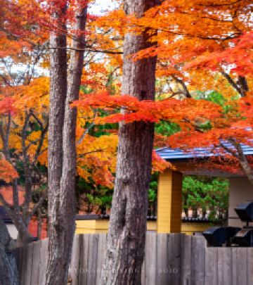 岩手县游记图文-红叶正当时,一起去周游日本岩手吧(环游盛冈、久慈、田野畑、龙泉洞、宫古……）