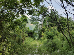 关岭游记图文-关索岭，滇黔锁钥的雄关（下）——贵州7日（11）