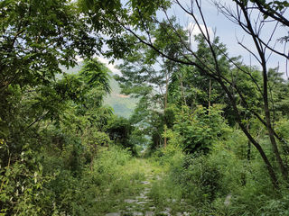 关索岭，滇黔锁钥的雄关（下）——贵州7日（11）