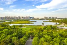 杭州湾新区观塘湖公园景点图片
