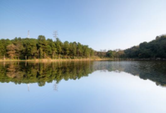 贵州省植物园景点图片