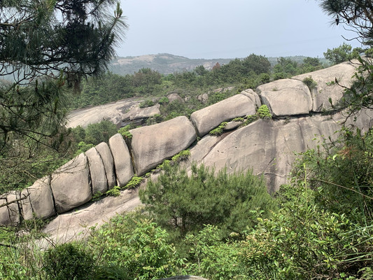 探寻大罗山神秘龙脊
